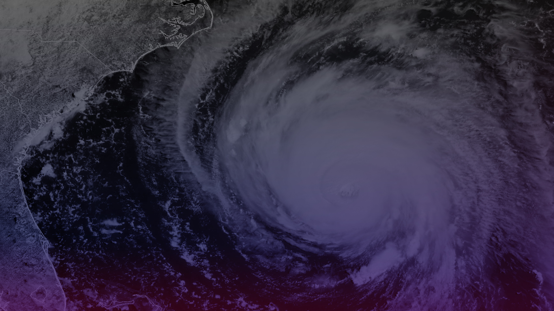 The Z Disaster Relief