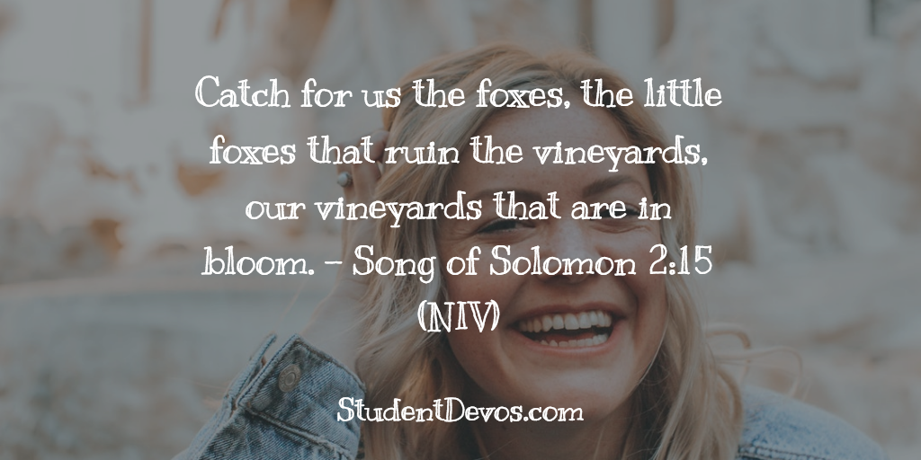 Daily Bible Verse and Devotion – Song of Solomon 2:15