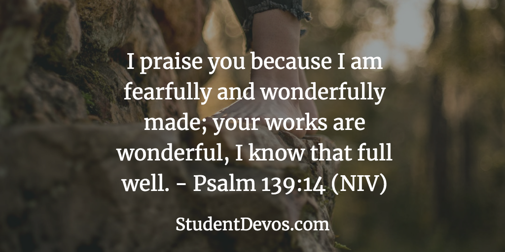 Daily Bible Verse and Devotion – Psalm 139:14