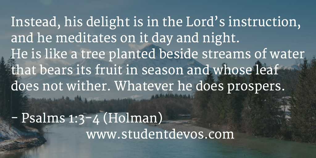 Daily Bible Verse and Devotion – Psalm 1:3-4