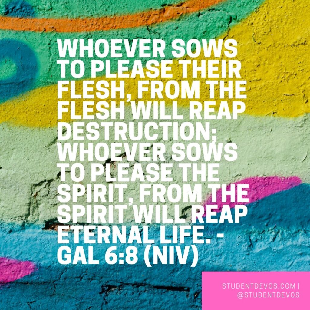 Daily Bible Verse and Devotion – Galatians 6:8