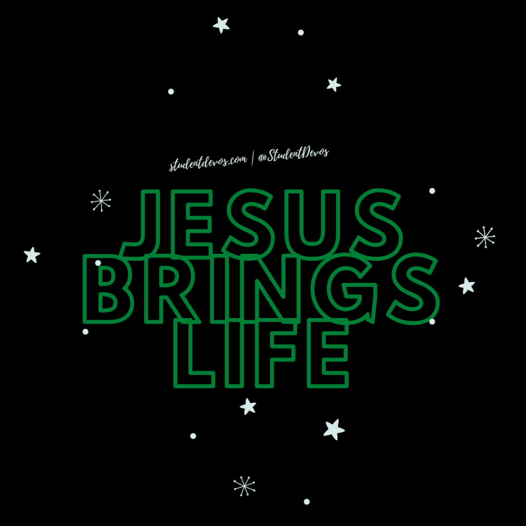 Daily Bible Verse and Devotion – John 1:4