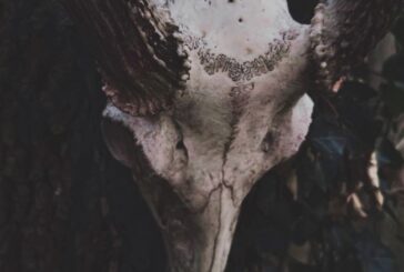 Keyodis Unveils New Full-Length 'Enemy Skulls'
